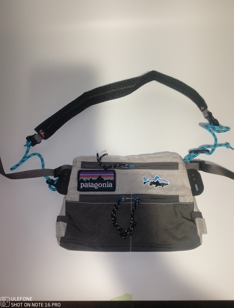 Patagonia Hip Pack