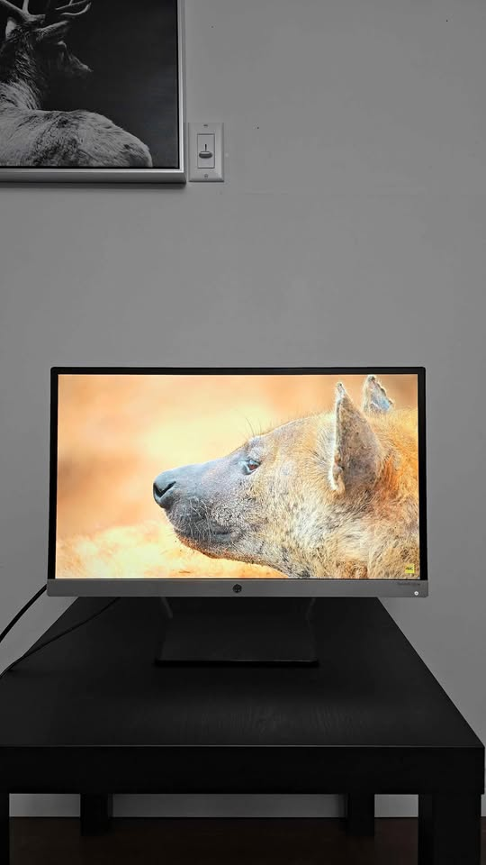 HP Pavilion 23cw 23-inch Full HD Monitor - photo 3