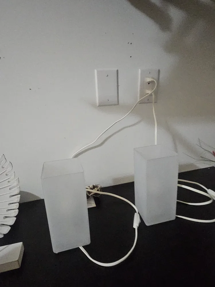 Silver Dolphin Figurine and White Leaf Decor image indicator(3)