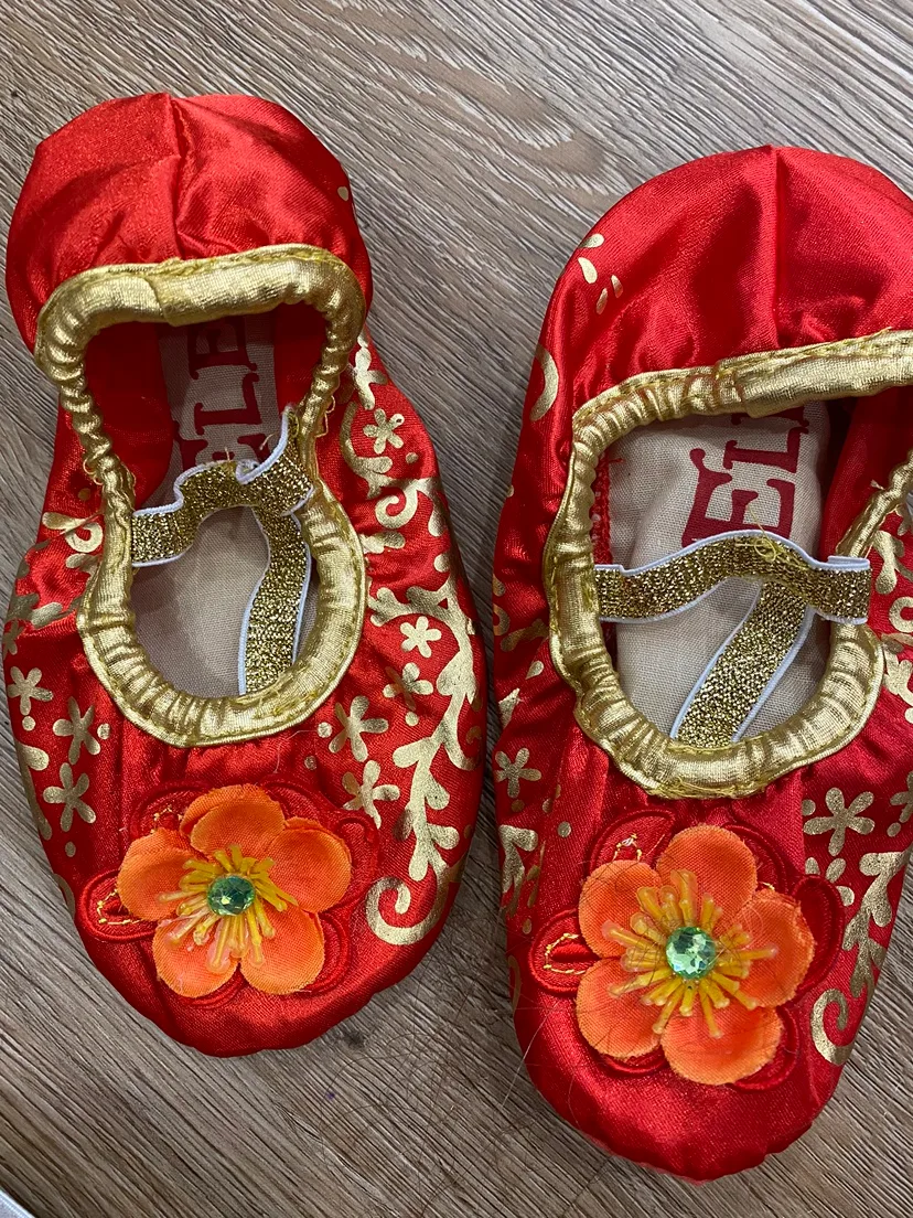 Disney Princess Elena Costume - Size Small image indicator(4)