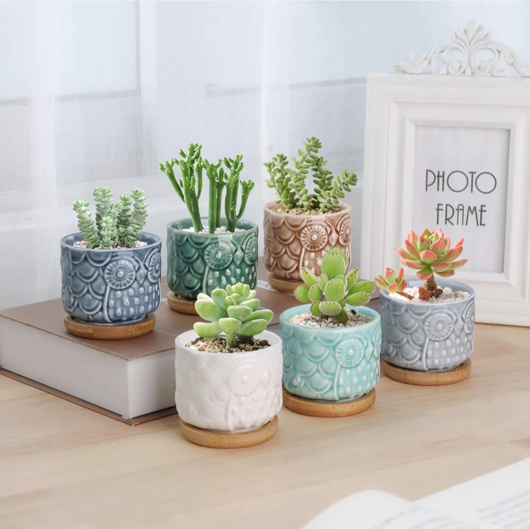 6 Pack Owl Shaped Succulent Pots with Bamboo Coasters