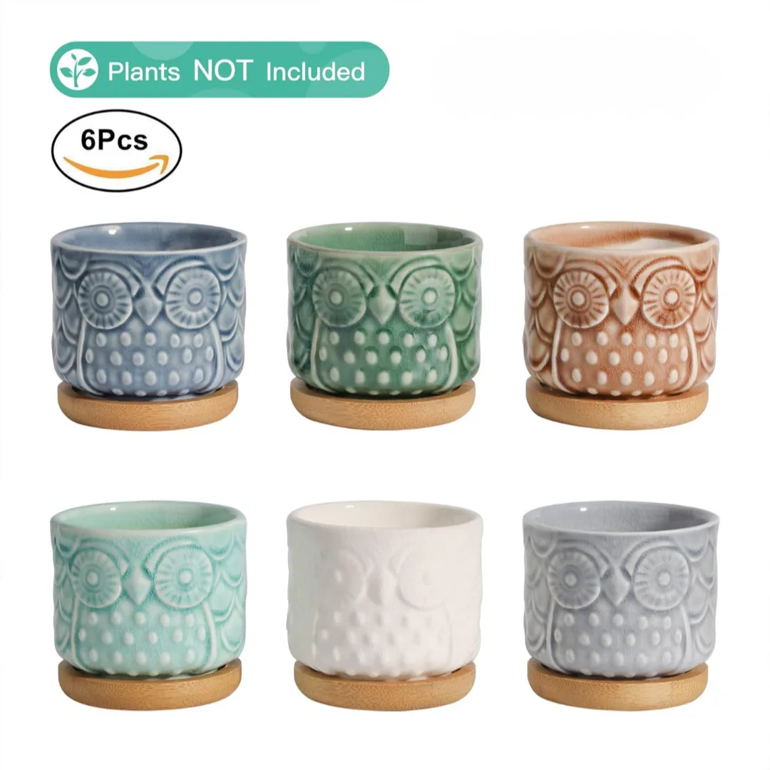 6 Pack Owl Shaped Succulent Pots with Bamboo Coasters image indicator(2)