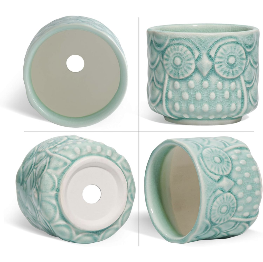 6 Pack Owl Shaped Succulent Pots with Bamboo Coasters - photo 3