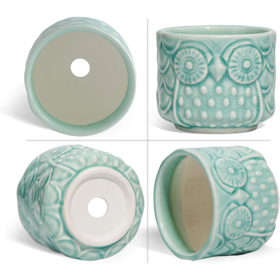 6 Pack Owl Shaped Succulent Pots with Bamboo Coasters image indicator(3)