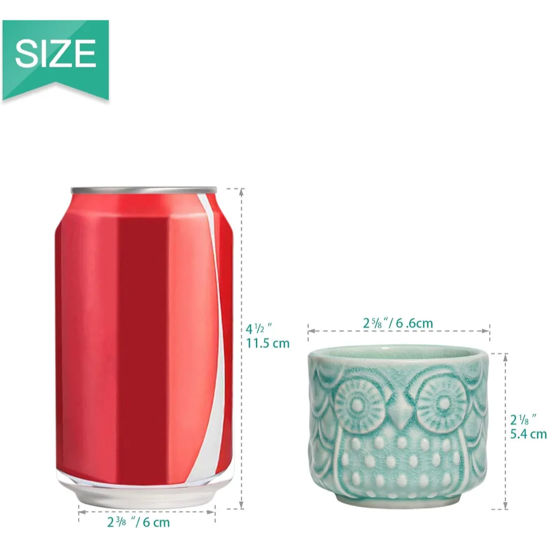 6 Pack Owl Shaped Succulent Pots with Bamboo Coasters image indicator(4)