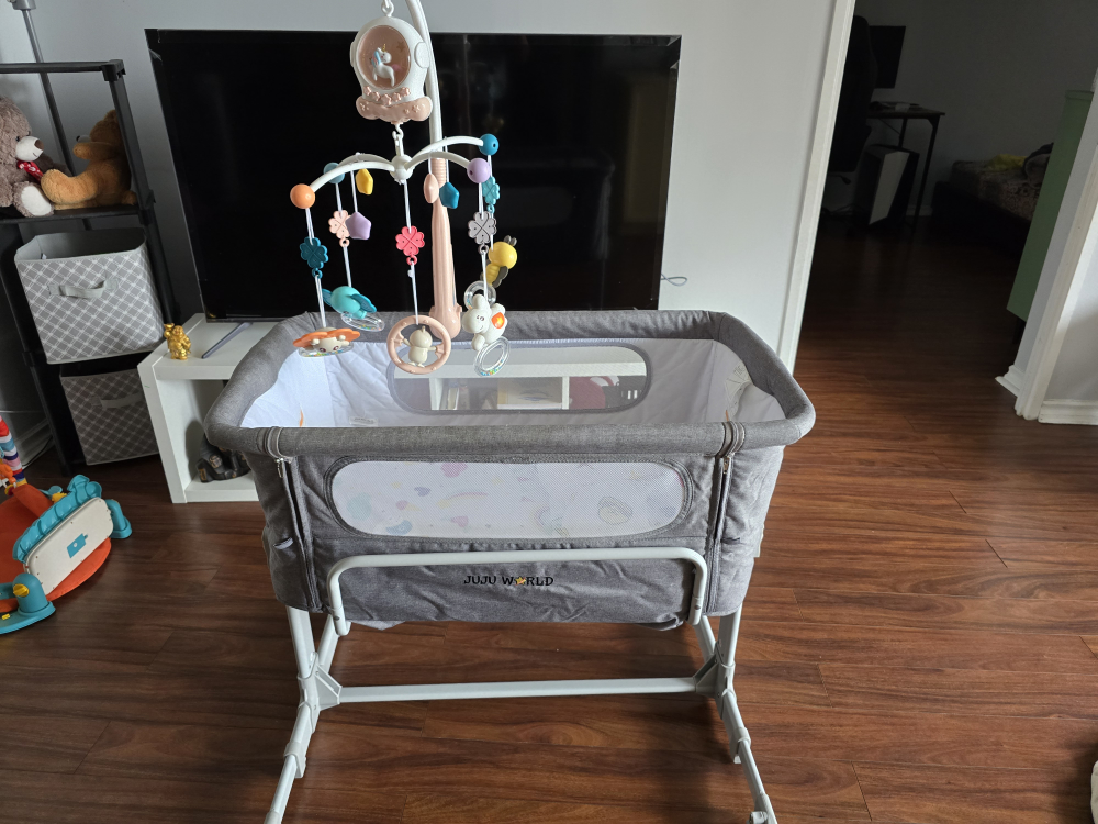 JooJoo World Bassinet with Mobile - photo 2