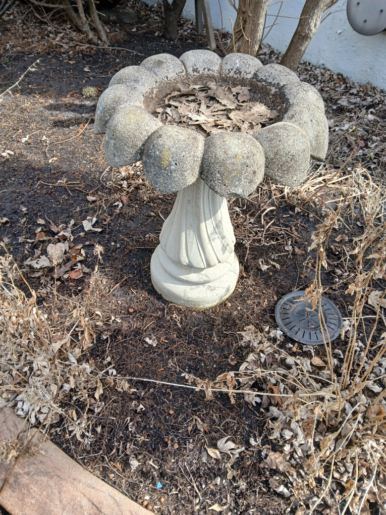 Stone Bird Bath