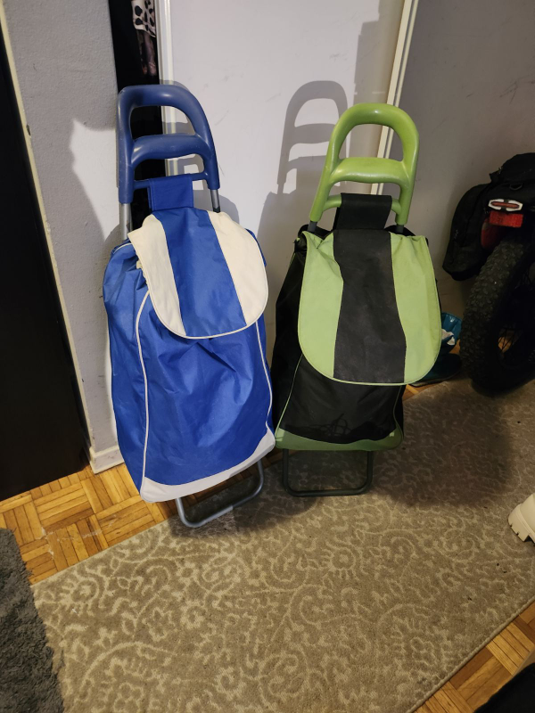 Pair of Shopping Carts - Blue & Green
