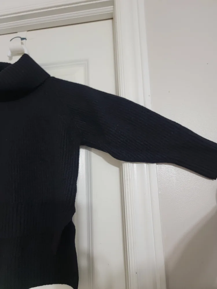 Wilfred Free Black Turtleneck Merino Wool Sweater image indicator(3)