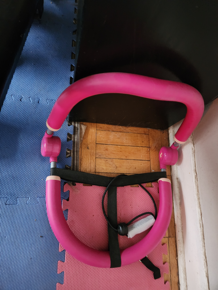 Pink Core Fitness Toning Exerciser