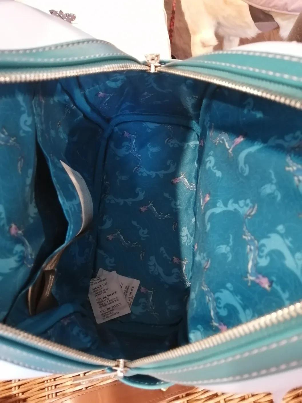 Disney Loungefly  Raya and the Last Dragon Backpack image indicator(5)