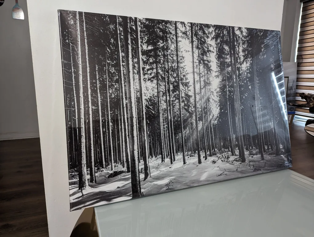 Black and White Winter Forest Canvas Wall Art 35.5 x 24 in image indicator(2)