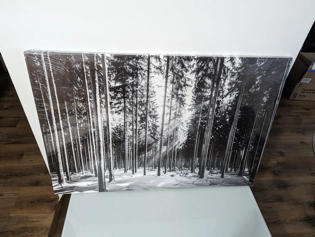 Black and White Winter Forest Canvas Wall Art 35.5 x 24 in image indicator(3)