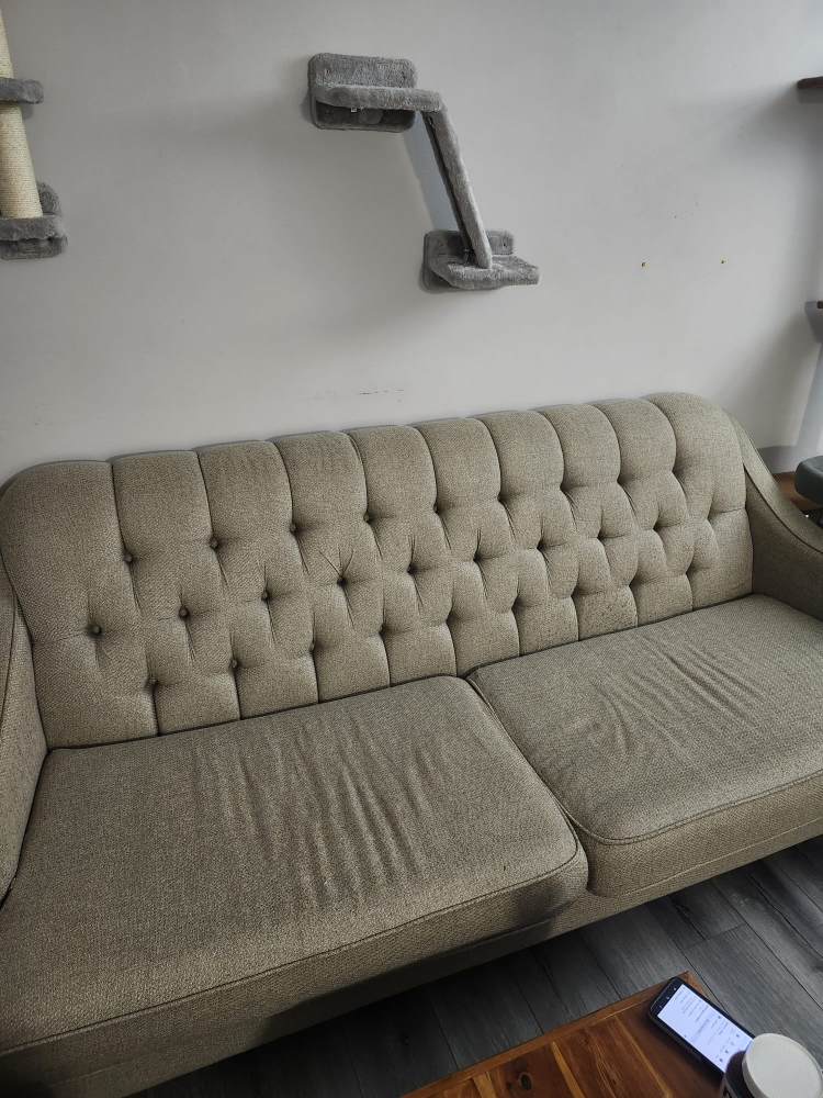 Mid-Century Modern Button Tufted Sofa - photo 2