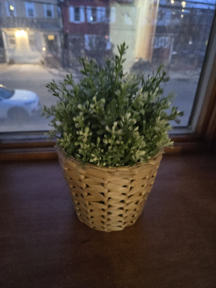 Artificial Plant in Woven Basket