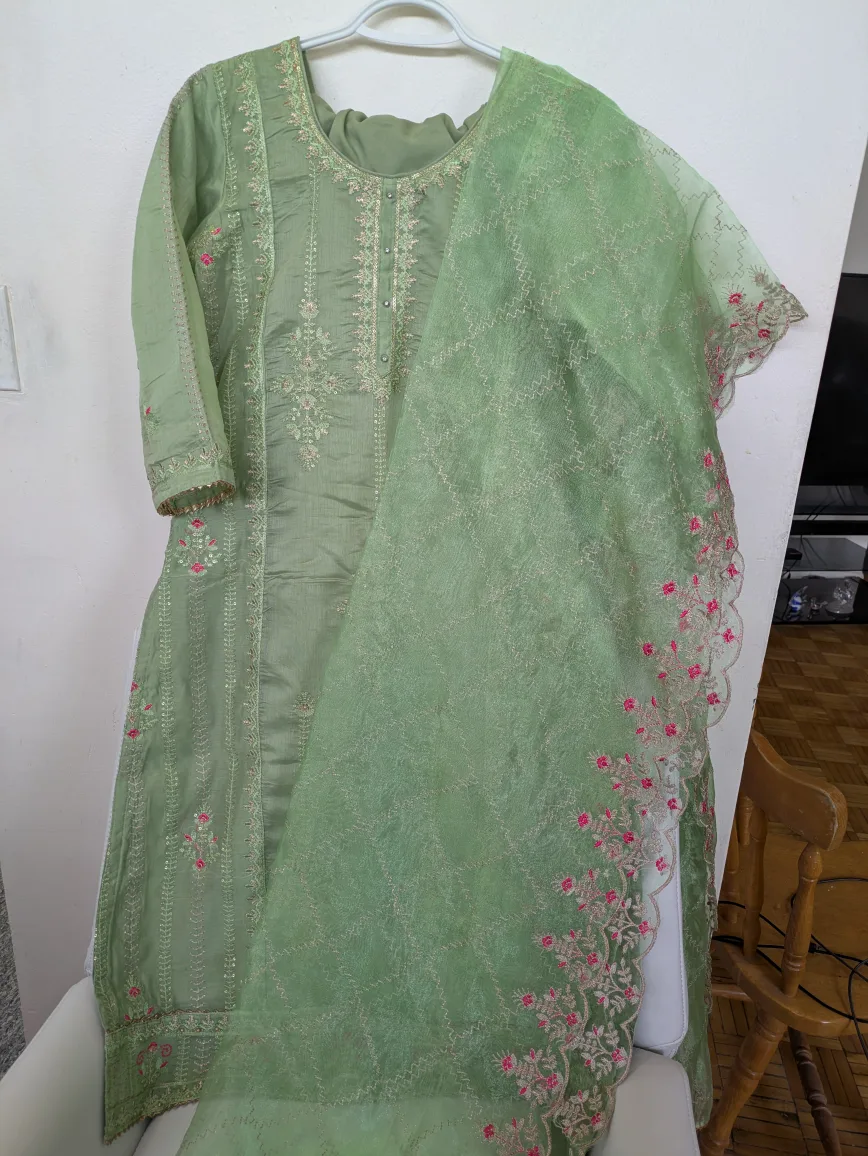 Beautiful embroidered Pakistani salwar kameez suit image indicator(2)