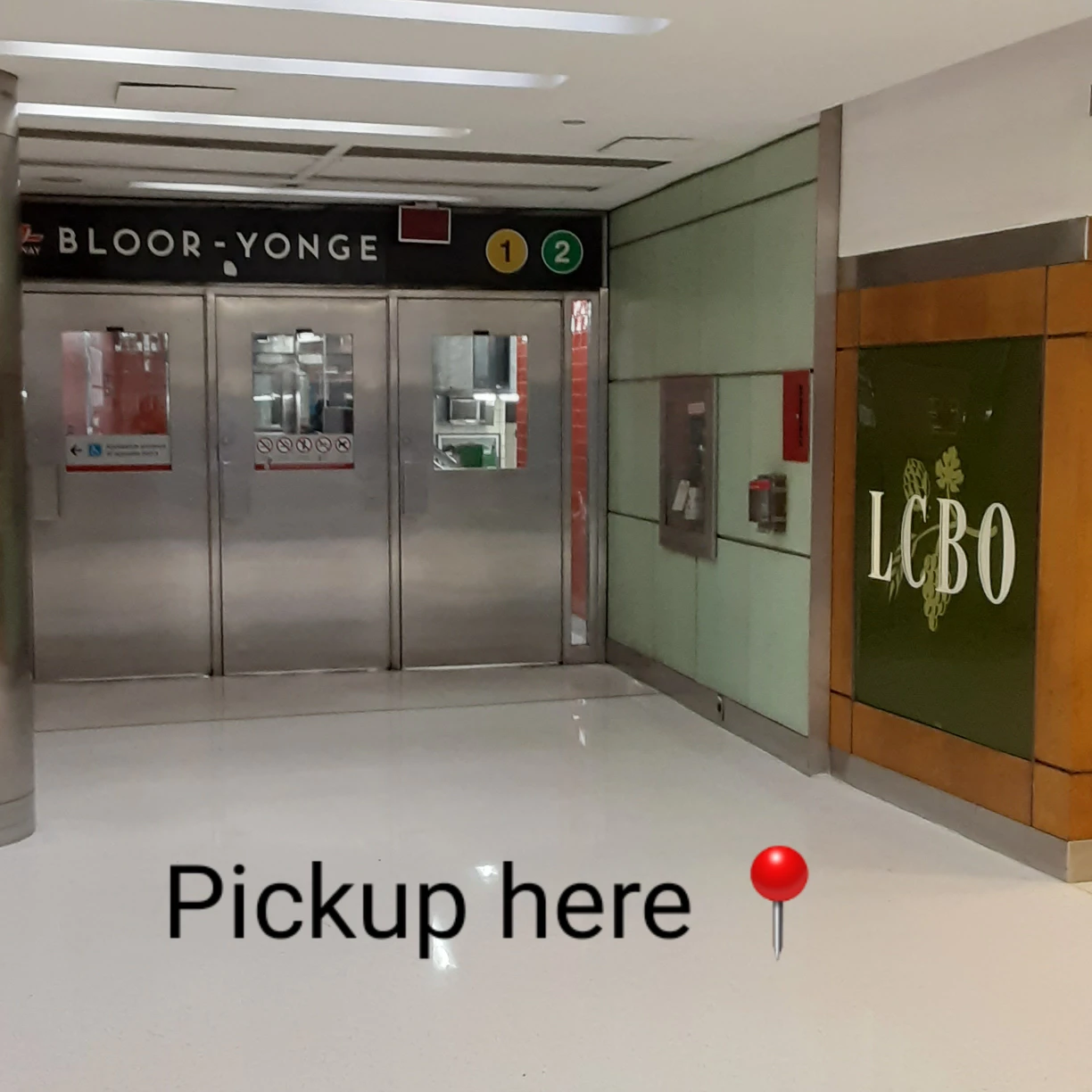 Cup Size 🌱 Kalanchoe 🌻 - photo 3