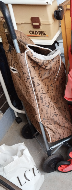 Paris-themed Shopping Cart Bag - photo 2