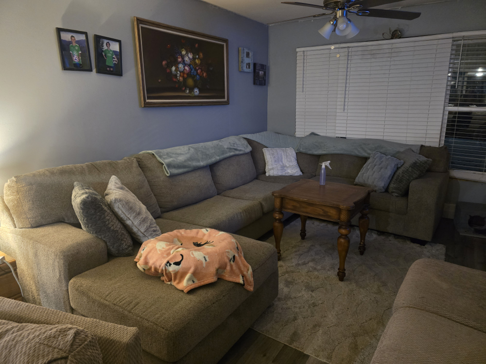 Large U-Shaped Sectional Sofa - photo 3