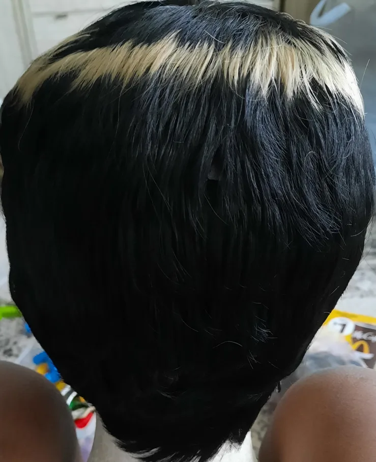 Short Black and Blonde Wig image indicator(2)