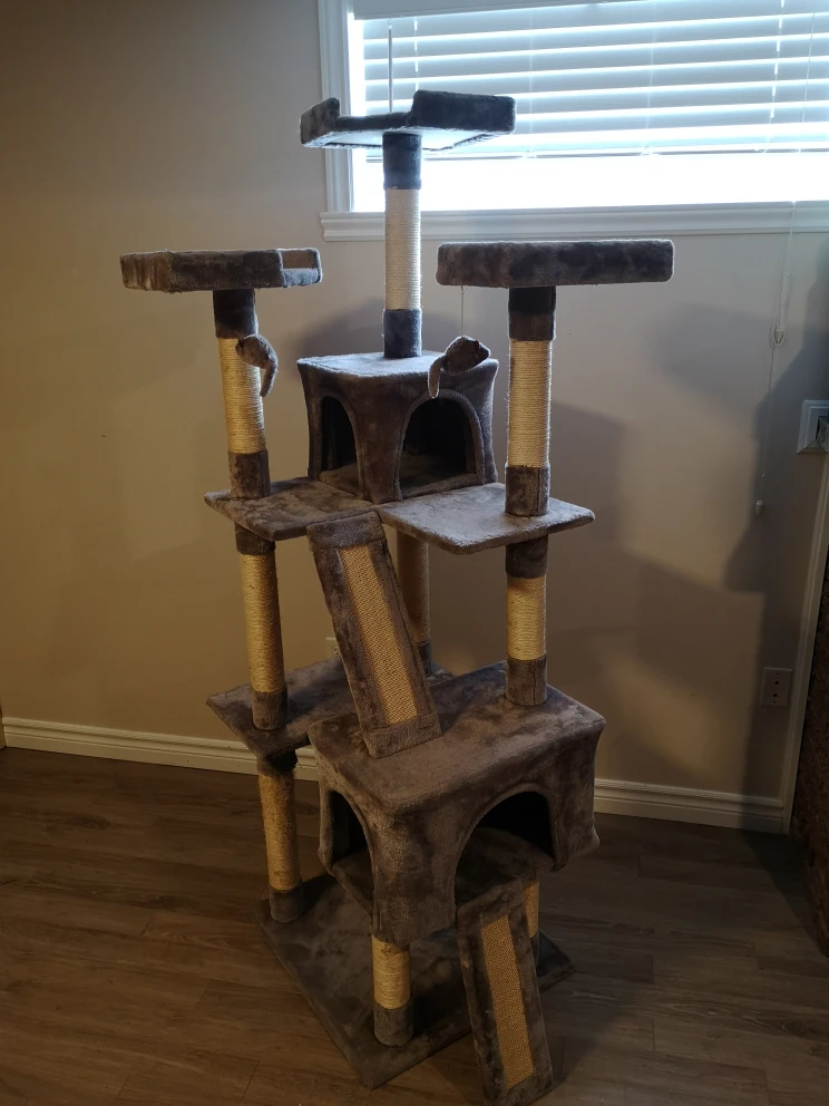 Cat Tower Tree