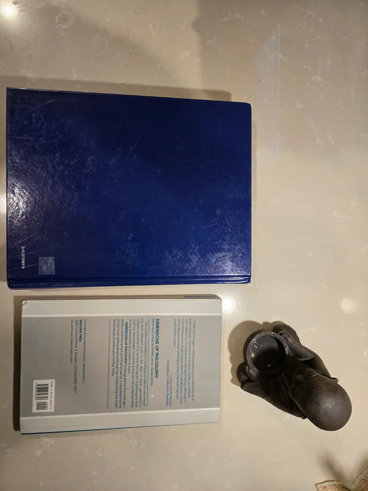 Psychology textbook and Metaphysics book Bundle image indicator(2)