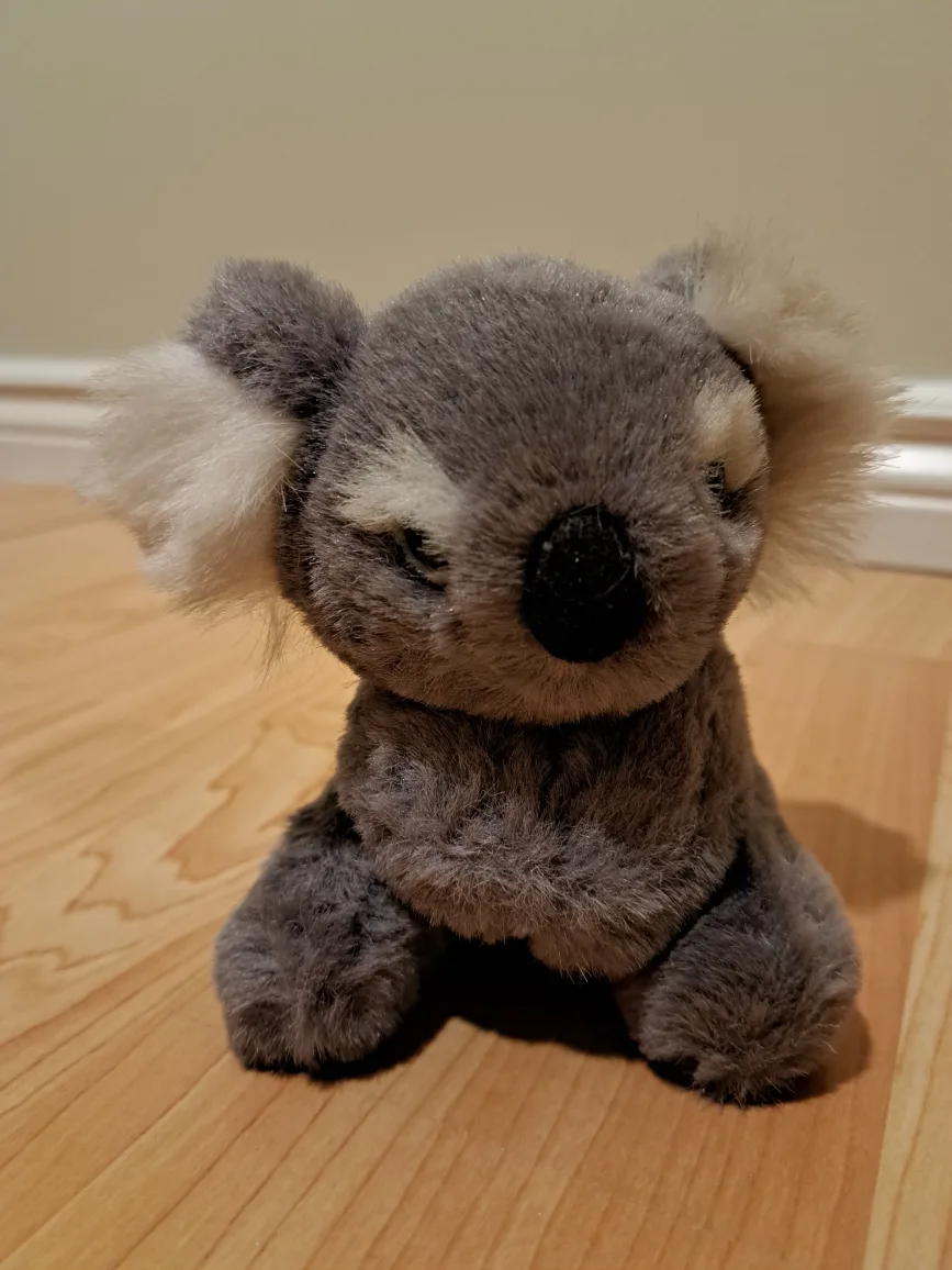 5" Koala Plush Toy image indicator(5)