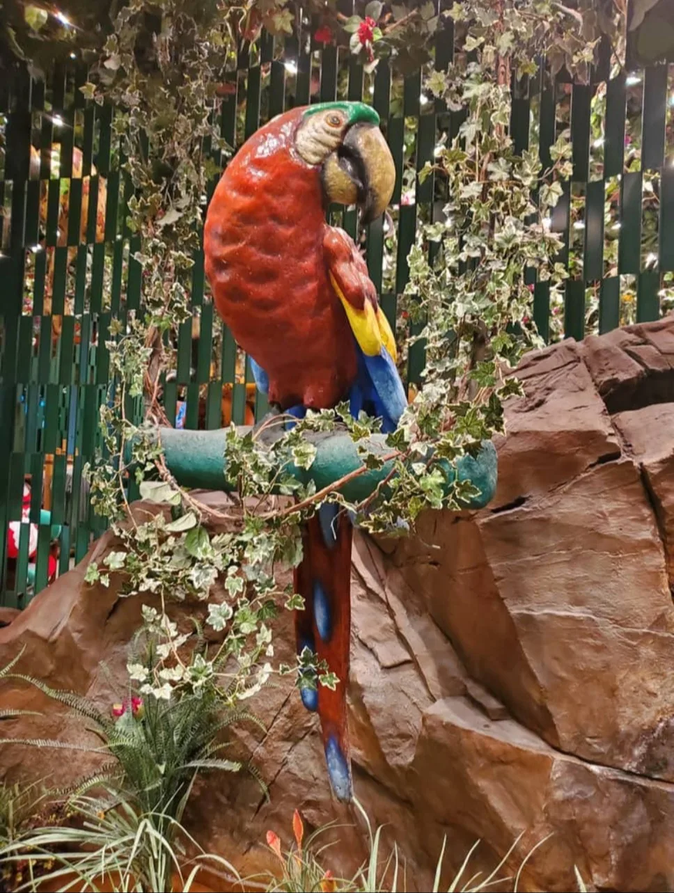 $15.00 / Day Doggy Day Care - We are here, and always will be ♾️ image indicator(6)