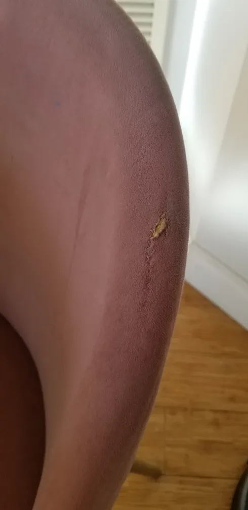 Modern Black Glass-Top Dining Table with Two Velvet Chairs image indicator(4)