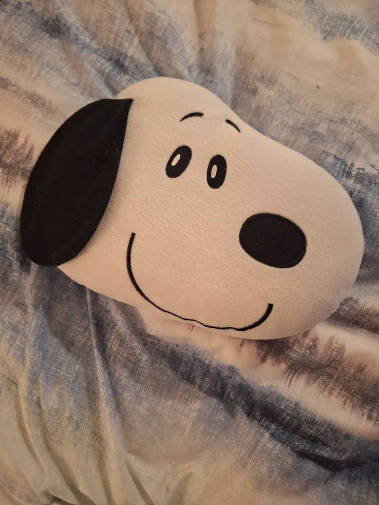 Snoopy & Charlie Brown Cushion Set image indicator(3)