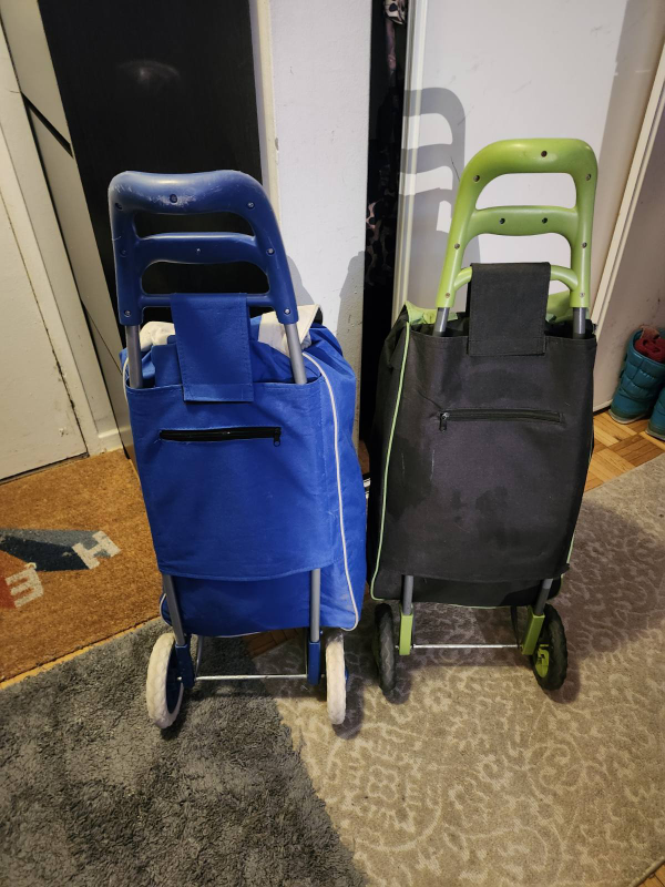 Pair of Shopping Carts - Blue & Green - photo 3