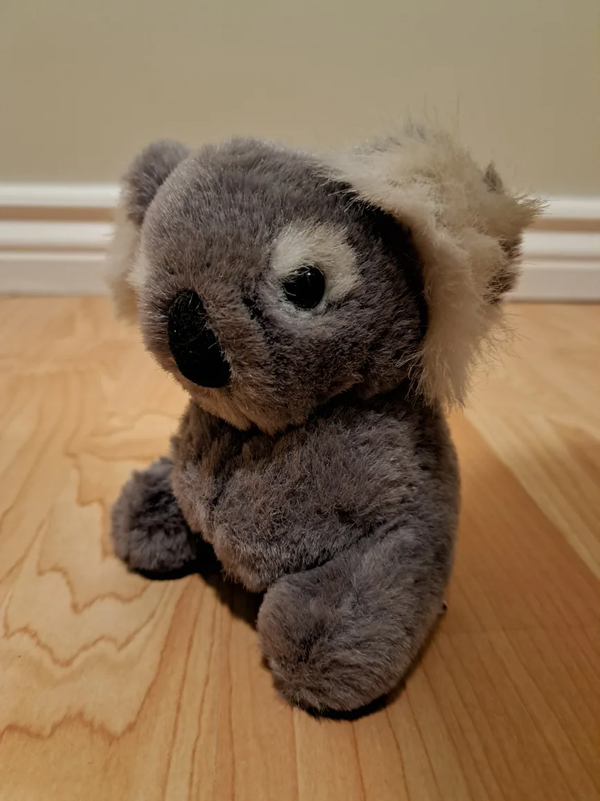 5" Koala Plush Toy image indicator(6)
