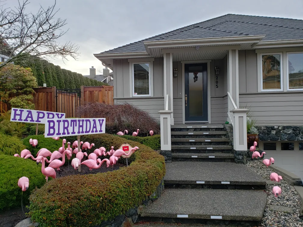 Wake Up To A Huge Pink Flamingo Flock Surprise On Your Birthday image indicator(5)