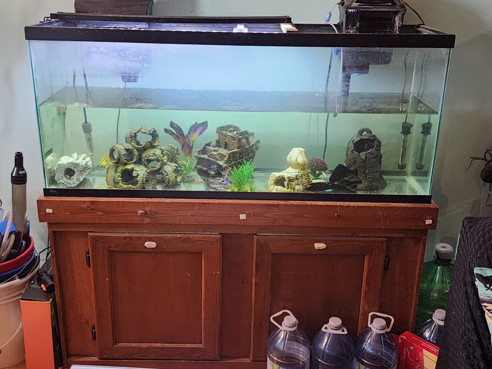 Large Fish Tank with Stand