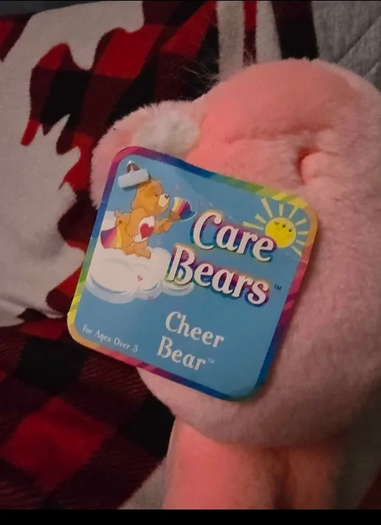 Care Bears Cheer Bear lights up and sound image indicator(2)