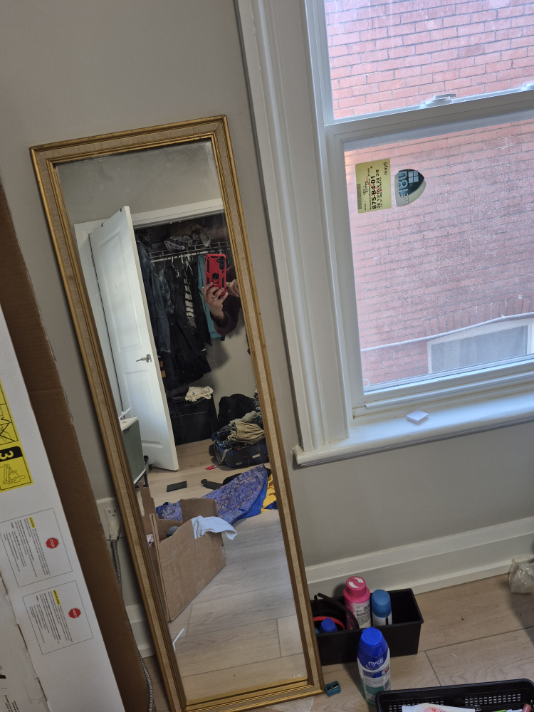 Gold framed full-length mirror
