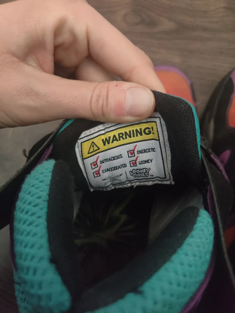 Reebok Instapump Fury Zone 2022 Limited Edition Looney Tunes image indicator(5)