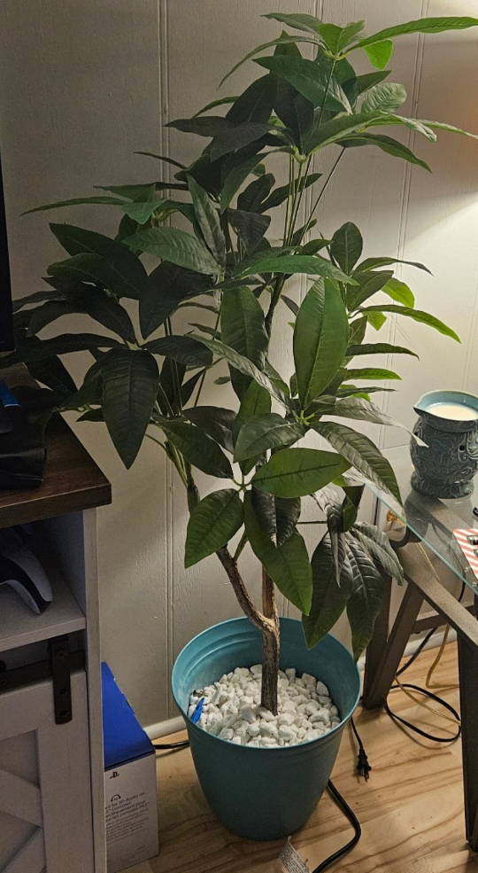 Artificial Schefflera Plant in Teal Pot