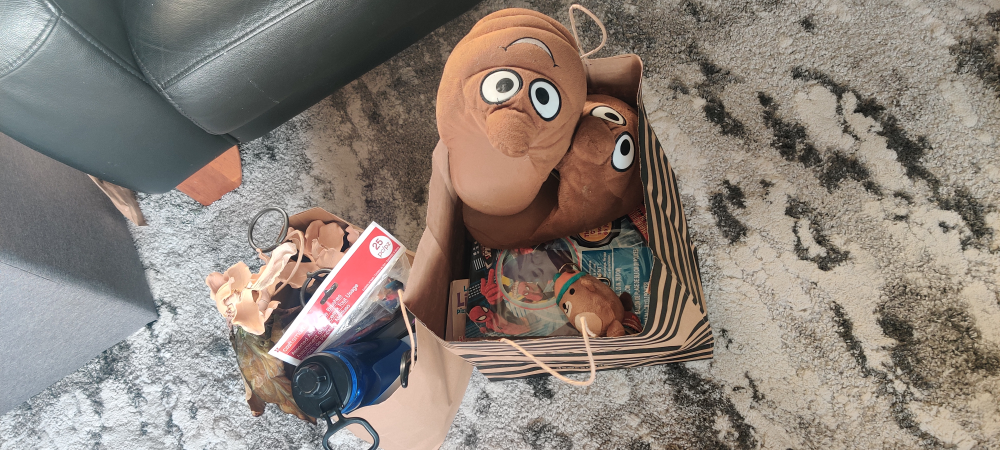 #freecycle Fun Grab Bag! Poo Slippers, Beach Ball, & More!
