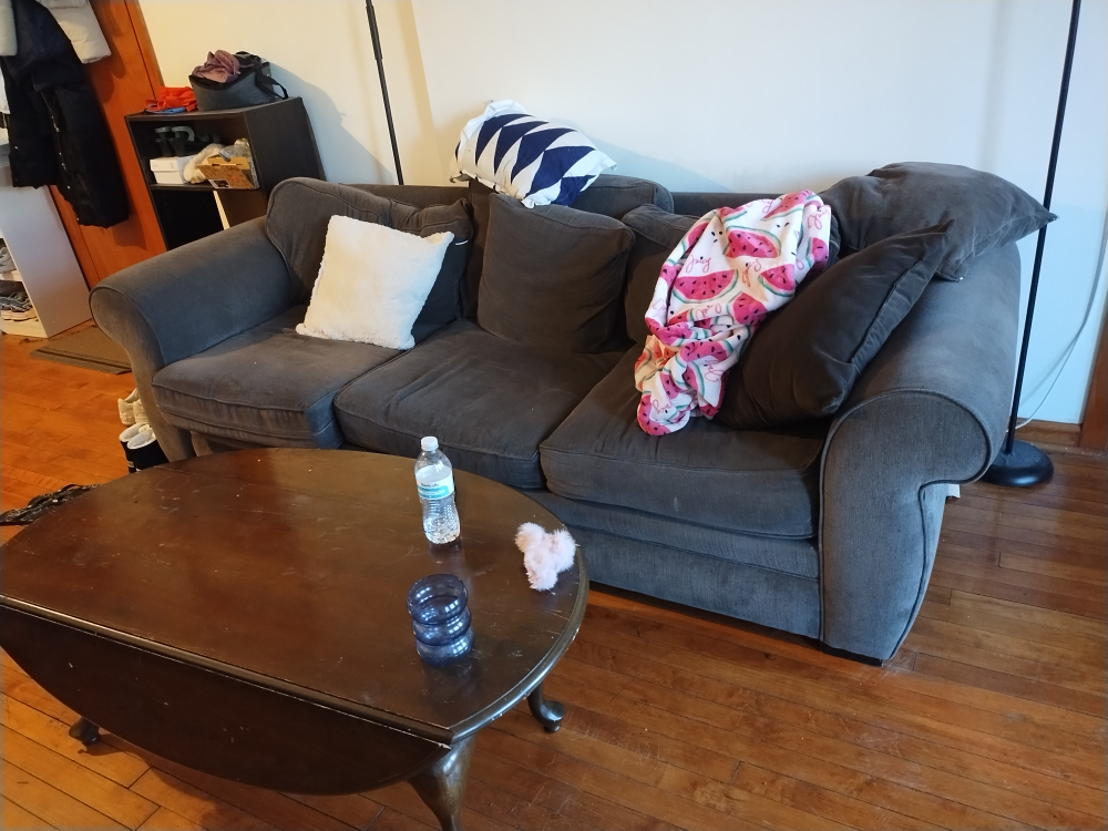 Gray Sofa with center table