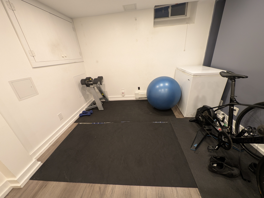 Home Gym Exercise Mat - photo 2