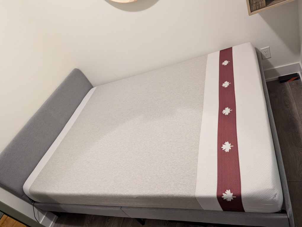 JUNO Queen mattress + IKEA TÄRNKULLEN upholstered bed frame