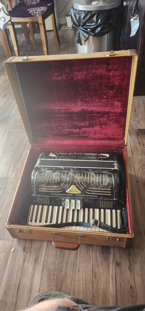 Vintage Salanti Special Accordion with Caseaxcll - photo 3