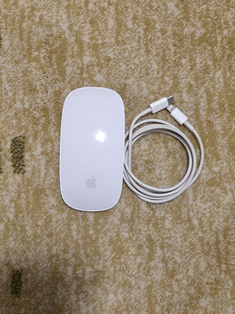 Apple Magic Mouse 2
