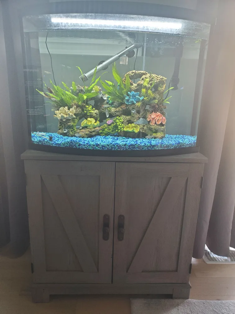 35 gallon Curved Aquarium with Stand image indicator(2)