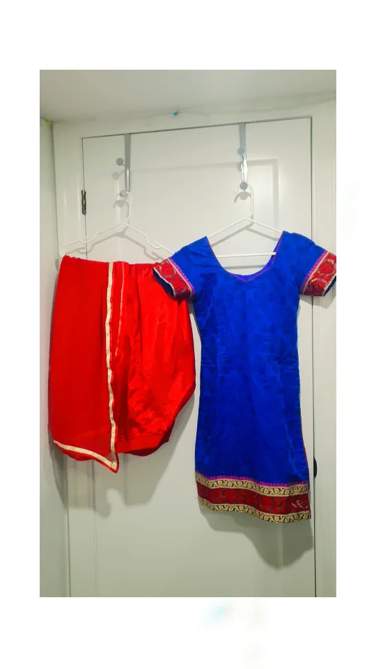 Beautiful Blue and Red Punjabi Suit image indicator(3)