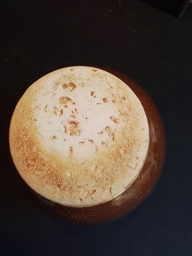 Chinese Brown Porcelain Dragon Vase image indicator(5)