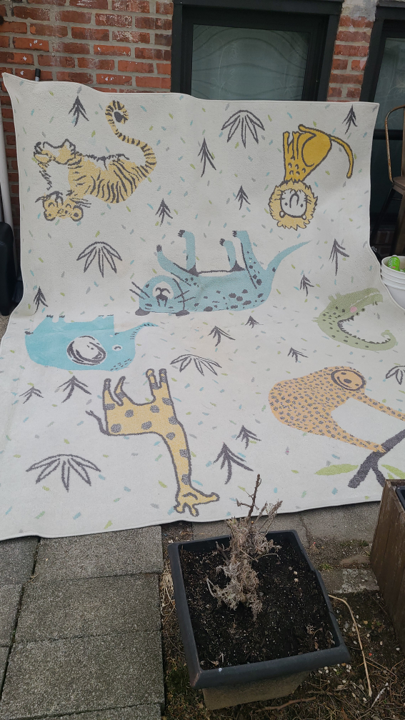 large Living Room Rug - photo 3