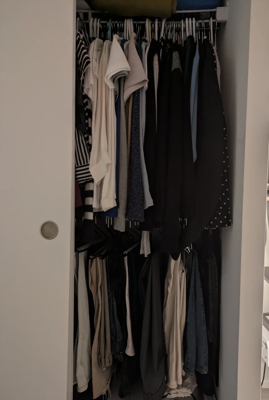 Closet Extender - Space Saving! ✨MOVING SALE✨ image indicator(3)