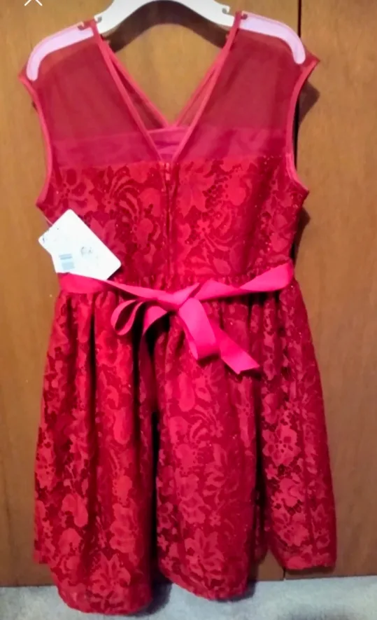 BRAND NEW Girl's Lace Dress image indicator(2)